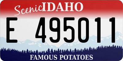 ID license plate E495011