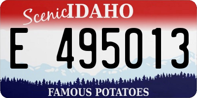 ID license plate E495013