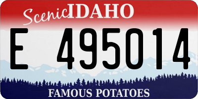 ID license plate E495014