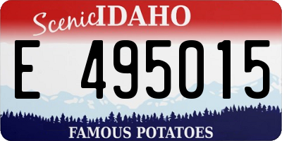 ID license plate E495015