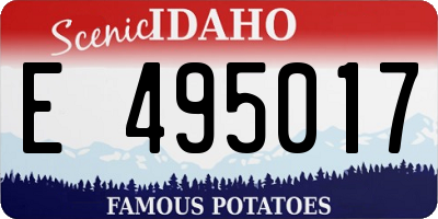 ID license plate E495017