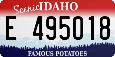 ID license plate E495018