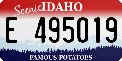 ID license plate E495019