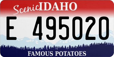 ID license plate E495020