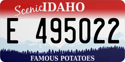 ID license plate E495022