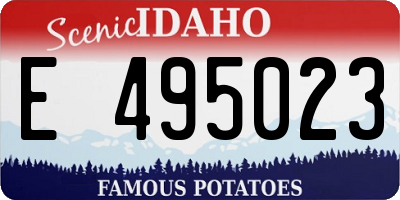 ID license plate E495023