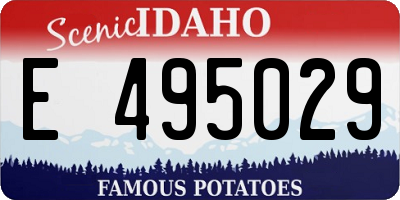 ID license plate E495029