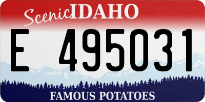 ID license plate E495031