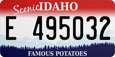 ID license plate E495032