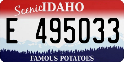ID license plate E495033