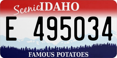 ID license plate E495034