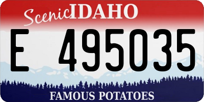 ID license plate E495035