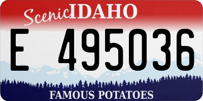 ID license plate E495036