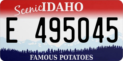 ID license plate E495045