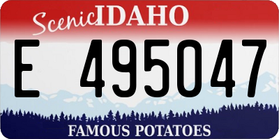 ID license plate E495047