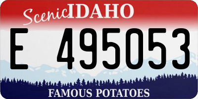 ID license plate E495053