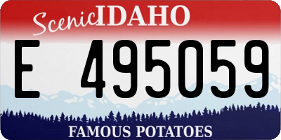 ID license plate E495059