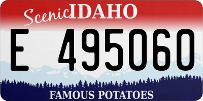 ID license plate E495060