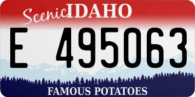 ID license plate E495063