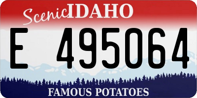 ID license plate E495064