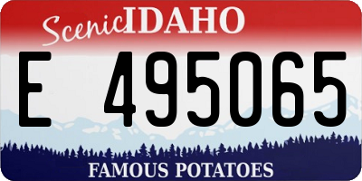 ID license plate E495065