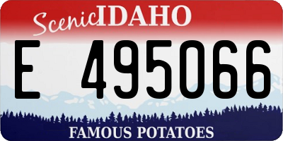 ID license plate E495066