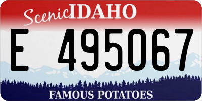 ID license plate E495067