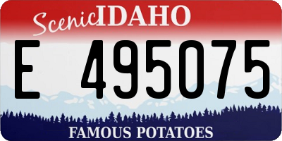 ID license plate E495075