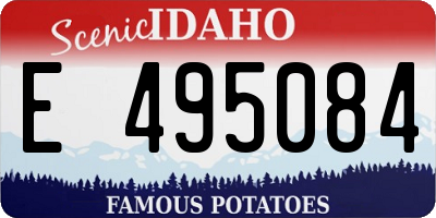 ID license plate E495084