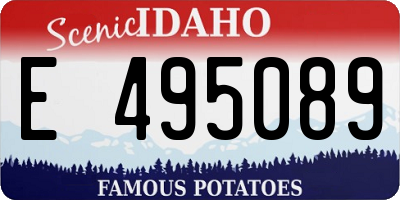 ID license plate E495089