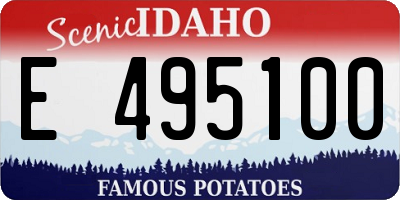 ID license plate E495100