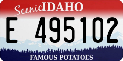 ID license plate E495102