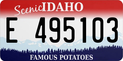 ID license plate E495103
