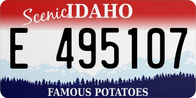 ID license plate E495107