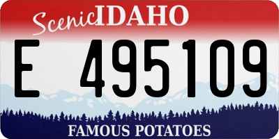 ID license plate E495109