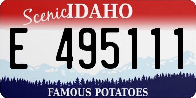 ID license plate E495111