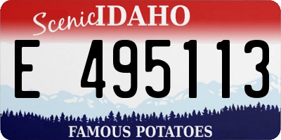 ID license plate E495113