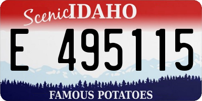 ID license plate E495115