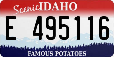 ID license plate E495116