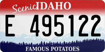 ID license plate E495122