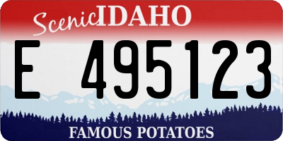 ID license plate E495123