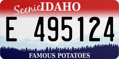 ID license plate E495124