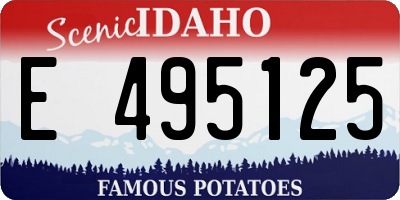 ID license plate E495125