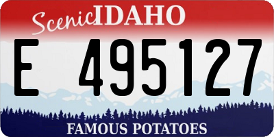 ID license plate E495127