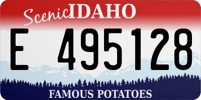 ID license plate E495128