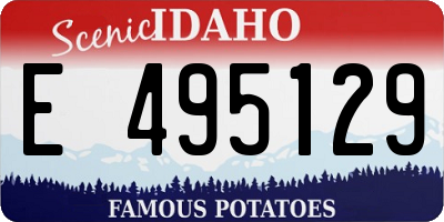 ID license plate E495129