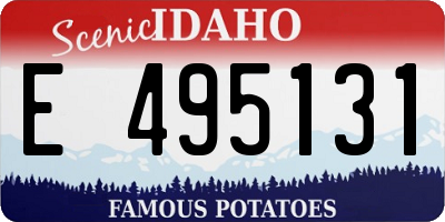 ID license plate E495131
