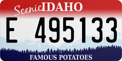 ID license plate E495133