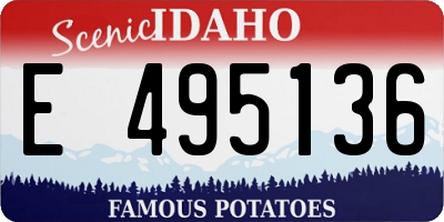 ID license plate E495136