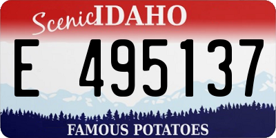 ID license plate E495137